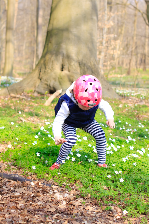 Forest School