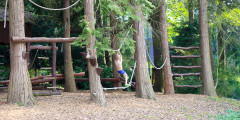 Out + About: Safari Park Playground!